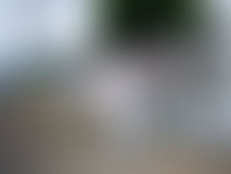 São Leopoldo intensifica combate ao Aedes aegypti com aplicação de inseticida no bairro Cohab Duque