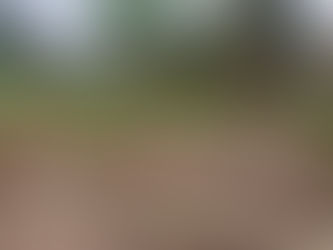 Corpo de criança é encontrado dentro de contêiner de lixo em Guaíba