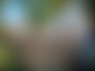 Aula pública sobre defesa do meio ambiente reúne cerca de 100 pessoas na Praça do Imigrante