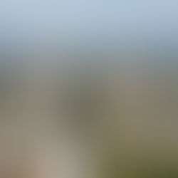 Mês negativo: São Leopoldo fecha 280 vagas de empregos formais em novembro de 2025