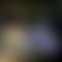 São Leopoldo recebe última edição do Sarau do Rio 2025 com música e arte