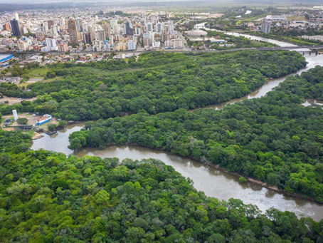 Gosto e odor na água também atingem Novo Hamburgo e outras cidades do Vale do Sinos
