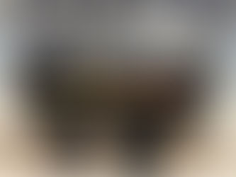 Operação Desarme: Polícia Civil prende mulher e apreende grande quantidade de armas e munições em Campo Bom