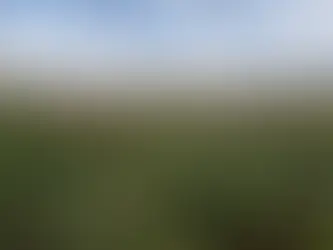 PIB do RS cai 0,3% no terceiro trimestre de 2024