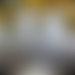 São Leopoldo fecha 2025 com alta nas exportações e saldo positivo na balança comercial