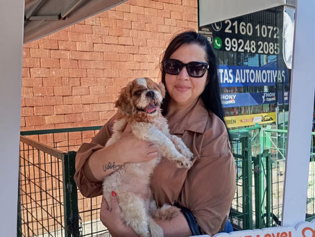 Espaços de adoção em São Leopoldo garantem 14 novos lares para filhotes