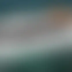 São Leopoldo: Comissão Especial de Inquérito do Barco Escola tem seu desfecho nesta sexta-feira(19)