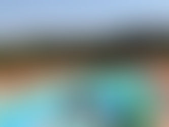 Vaca é flagrada descendo em toboágua e “se refresca” em piscina no interior de SP; veja o vídeo