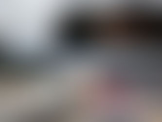 The Urban Law Bulletin: February 26, 2019