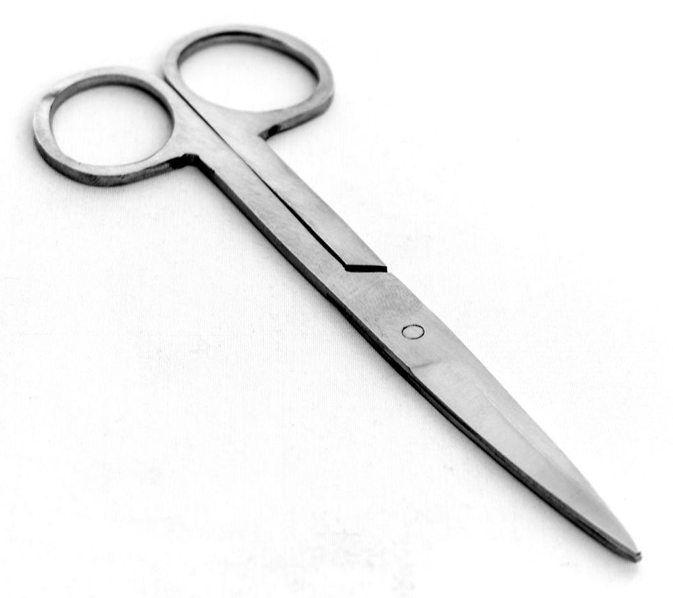 Surgical Scissors - Stainless Steel