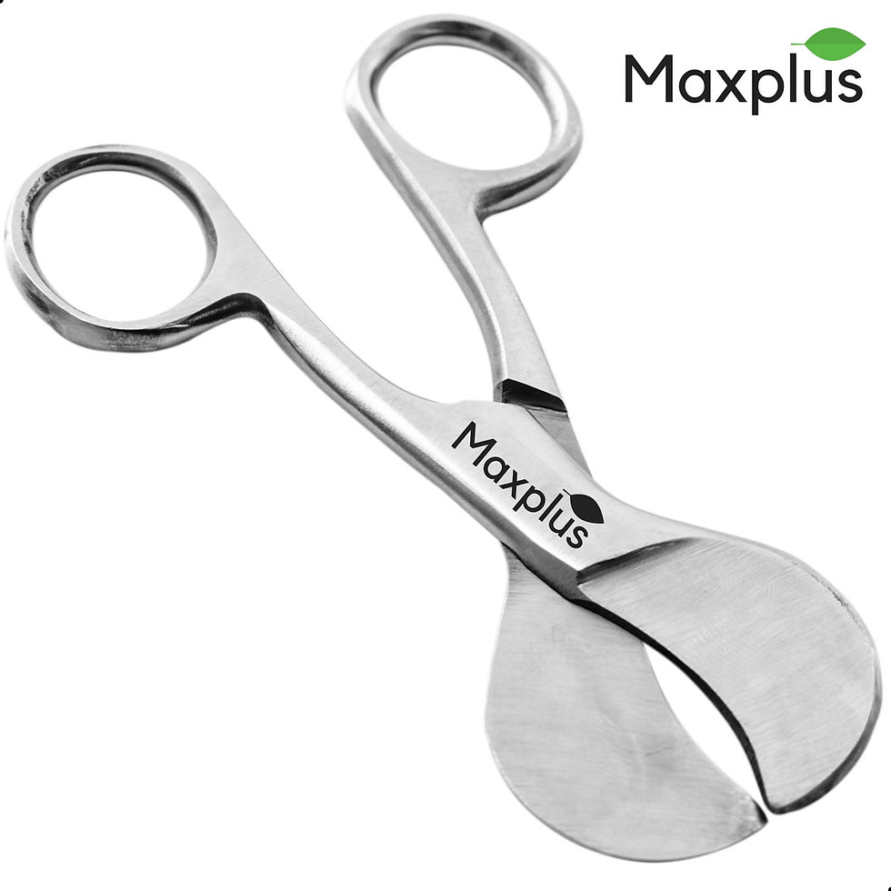 Thumbnail: UMBILICAL CORD SCISSORS