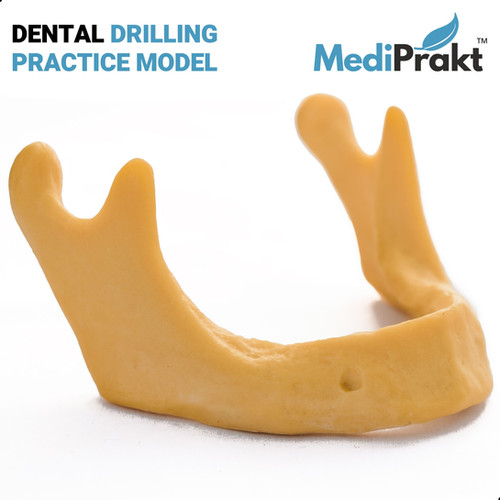 DENTAL DRILLING PRACTICE MODEL MediPrakt