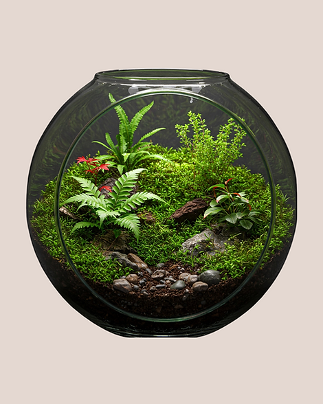 Diseño sin título (63).png