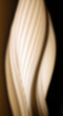 closeup04.jpg