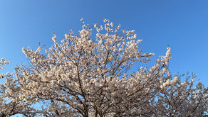 アルツハイマー病の新薬 勉強会@福岡