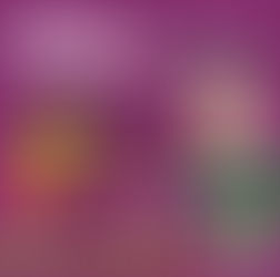 Livraria oferece tarde de atividades lúdicas para crianças em SP