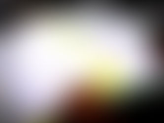 Vereadores definem presidentes e relatores das Comissões Permanentes