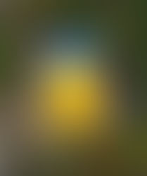 Prefeitura entrega revitalização das quadras do Parque da Fito