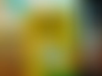 Aula inaugural de Libras lota Centro de Formação