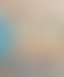 Semana do Meio Ambiente promove debates e experiências interativas sobre sustentabilidade