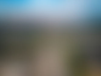 7ª Conferência da Cidade de Osasco debaterá temas como habitação, mobilidade e mudanças climáticas