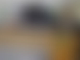 Vereadores de Osasco elogiam atuação do governador Tarcísio de Freitas