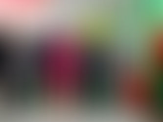 Câmara prestigia cerimônia de celebração dos 61 anos de Osasco