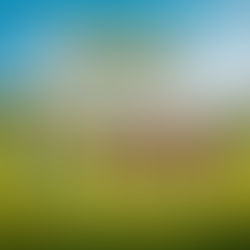 DMG lança projeto infantil “Nossa Turminha Kids”