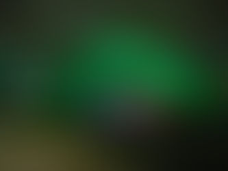 Viaduto Metálico recebe o verde em alusãoà luta pelos direitos da pessoa com deficiência 