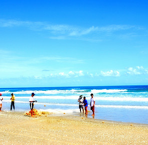 BARRA DER TORDO ALDAMA .jpg