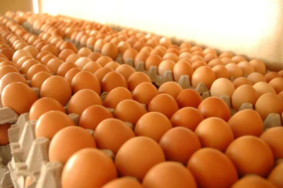 Recetas saludables con huevos Gallina Feliz