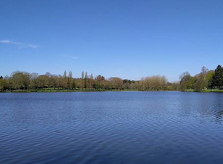 header-effres-1000x500.png