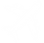 PLANE (1).png