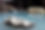 日進舘極楽湯湯舟.jpeg