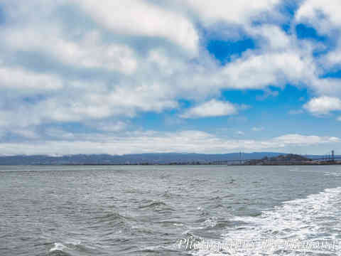 A Day on the Bay