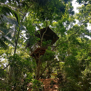 where to stay on holiday. Sri lanka