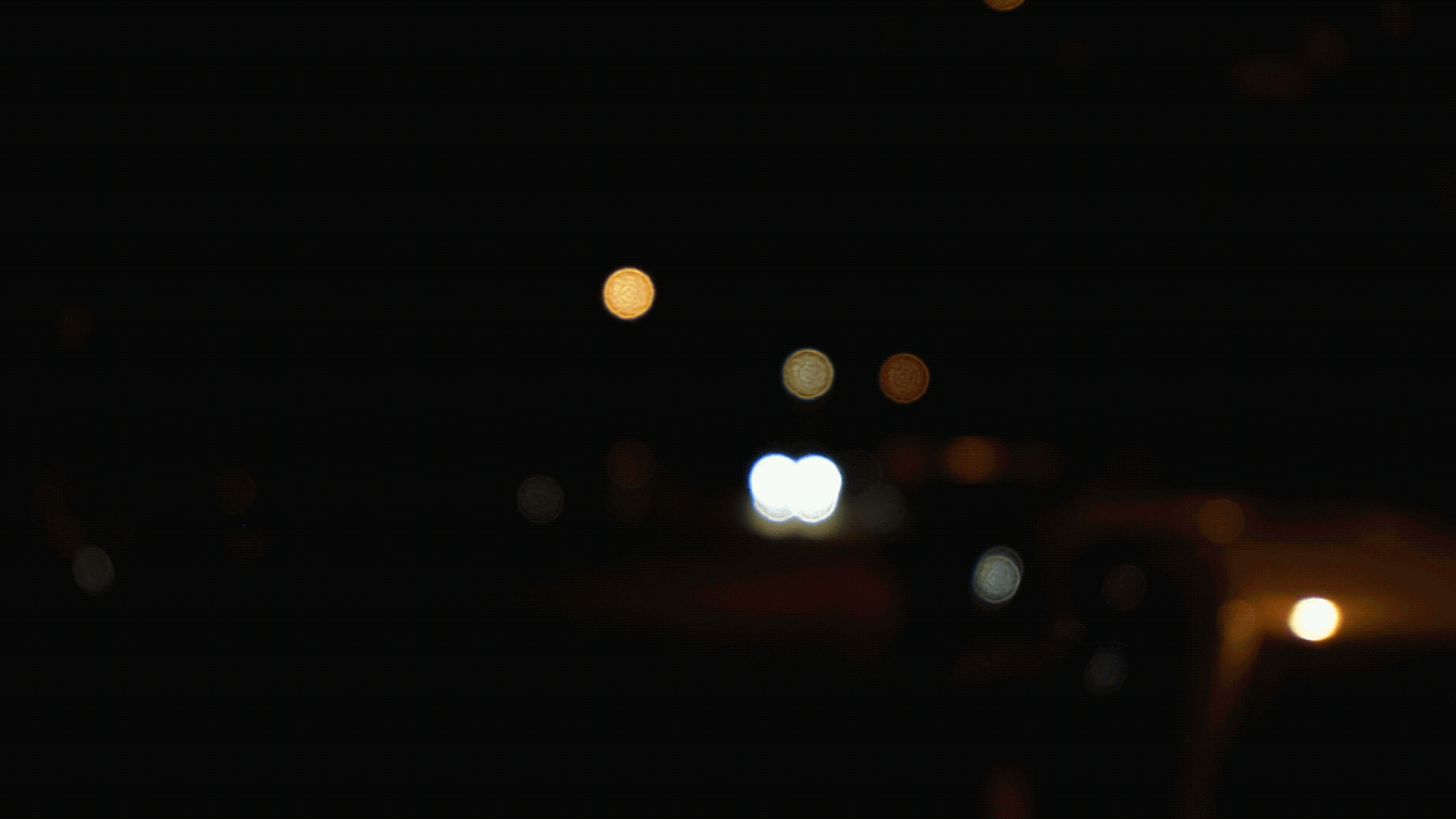 IMG_1850.GIF