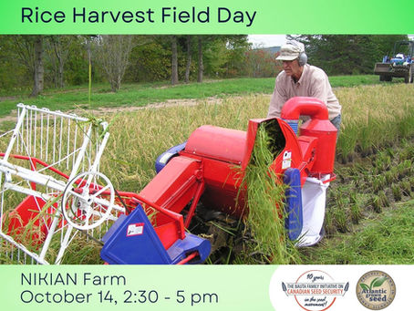 Rice growing 101: Harvest Field Day rescheduled twice for rain...