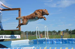 Khole.diving