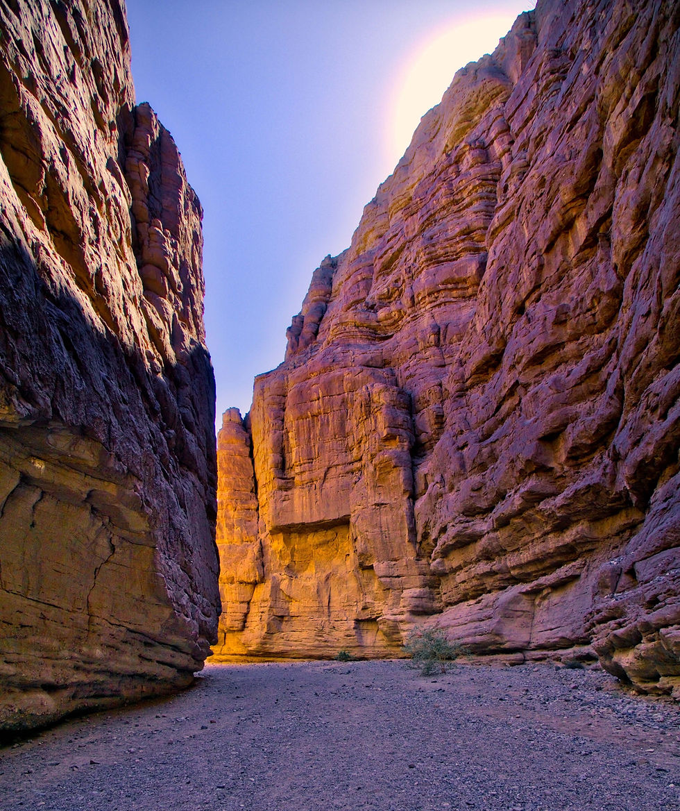 California's Ladder Canyon