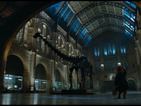 Natural History Museum - Paddington