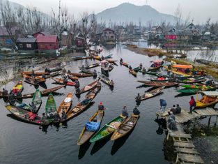 Shopper's Guide To Kashmir