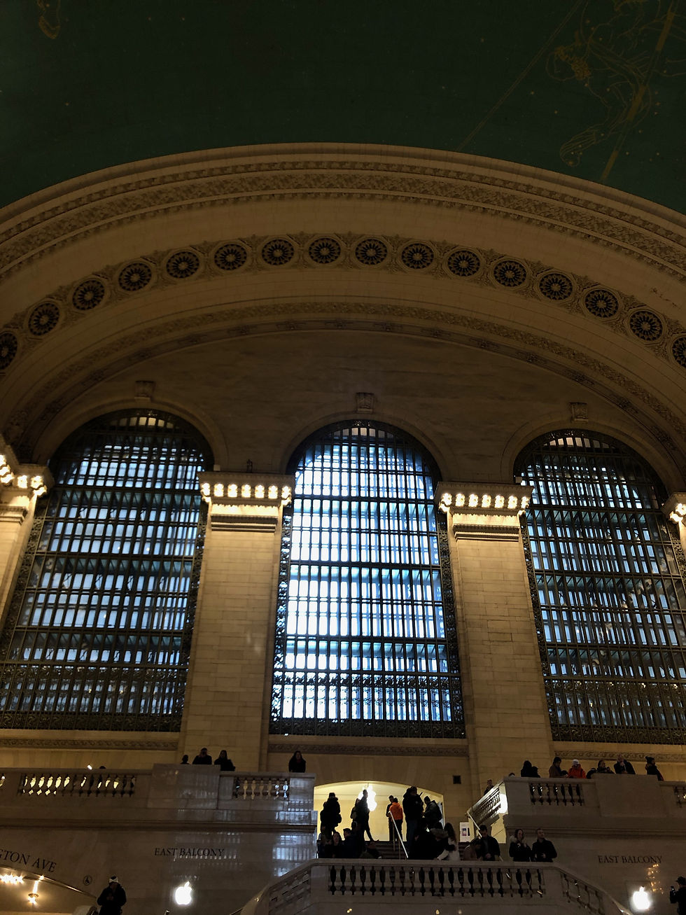 window panels