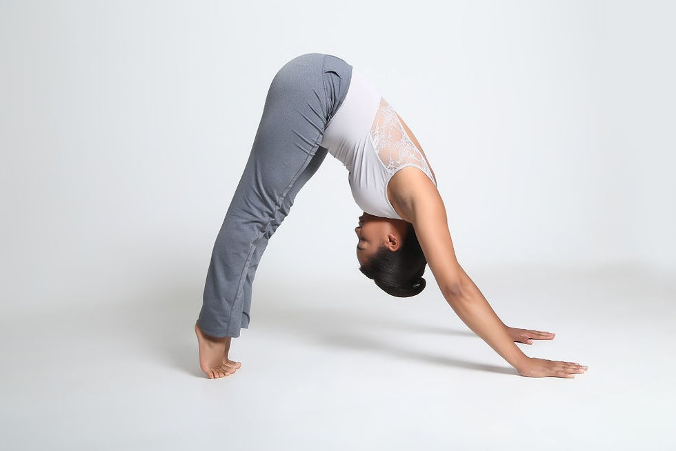 GYROKINESIS® Floor Exercises contribute in stretching the hamstrings, adductors, abductors, shoulder, pectorals & strengthening the abdomen, biceps, deltoids, back extensors, and arches – just to name a few.