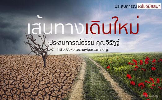 เส้นทางเดินใหม่