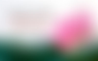 เจริญในธรรมด้วยโพชฌงค์ 7