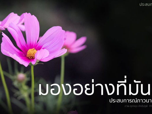 มองอย่างที่มันเป็น