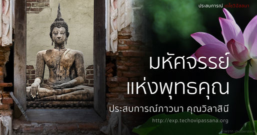 มหัศจรรย์แห่งพุทธคุณ