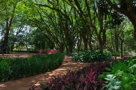 Jardim da Hípica - Lavvi