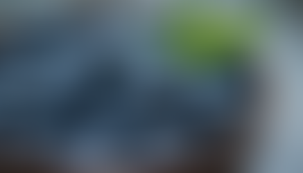 Top Brain-Enhancing Foods for Women 35-65